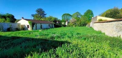 Terrain seul à Luçon en Vendée (85) de 559 m² à vendre au prix de 65100€ - 2