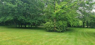 Terrain seul à Saint-Denis-d'Orques en Sarthe (72) de 2900 m² à vendre au prix de 80990€ - 2