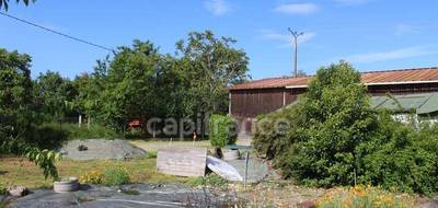 Terrain seul à Longages en Haute-Garonne (31) de 979 m² à vendre au prix de 116500€ - 2