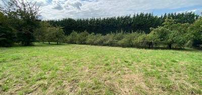 Terrain seul à Le Val d'Hazey en Eure (27) de 4040 m² à vendre au prix de 69000€ - 2