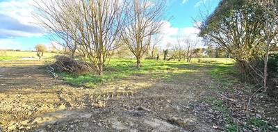 Terrain seul à Noueilles en Haute-Garonne (31) de 1000 m² à vendre au prix de 146990€ - 1