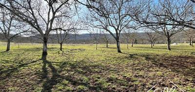 Terrain seul à Sergeac en Dordogne (24) de 4264 m² à vendre au prix de 85280€ - 3