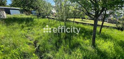 Terrain seul à Vire Normandie en Calvados (14) de 613 m² à vendre au prix de 44000€ - 3