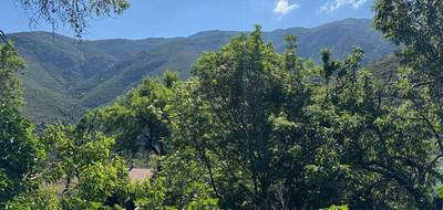 Terrain seul à Occhiatana en Haute-Corse (2B) de 623 m² à vendre au prix de 136800€ - 2