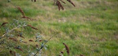 Terrain seul à Paray-le-Monial en Saône-et-Loire (71) de 5439 m² à vendre au prix de 176800€ - 1