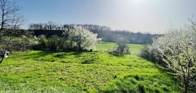 Terrain seul à Saliès en Tarn (81) de 1028 m² à vendre au prix de 89500€ - 1