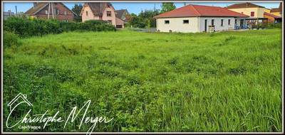 Terrain seul à Dieuze en Moselle (57) de 772 m² à vendre au prix de 39000€ - 2