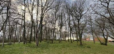 Terrain seul à Grazac en Haute-Garonne (31) de 1700 m² à vendre au prix de 105000€ - 1