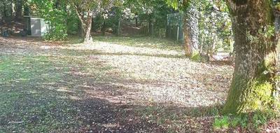 Terrain seul à Les Mathes en Charente-Maritime (17) de 857 m² à vendre au prix de 200000€ - 2