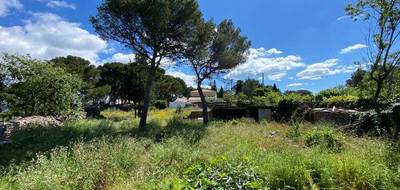 Terrain seul à Sète en Hérault (34) de 1000 m² à vendre au prix de 890000€ - 1