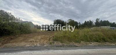 Terrain seul à Blérancourt en Aisne (02) de 6880 m² à vendre au prix de 107500€ - 1