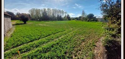 Terrain seul à Momères en Hautes-Pyrénées (65) de 2160 m² à vendre au prix de 108000€ - 1