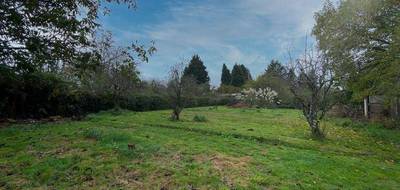 Terrain seul à Saint-Laurent-les-Églises en Haute-Vienne (87) de 1093 m² à vendre au prix de 30000€ - 3