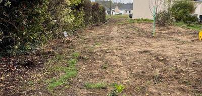 Terrain seul à Rives-du-Loir-en-Anjou en Maine-et-Loire (49) de 641 m² à vendre au prix de 96600€ - 3