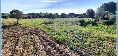 Terrain seul à Pézenas en Hérault (34) de 2673 m² à vendre au prix de 249500€ - 4