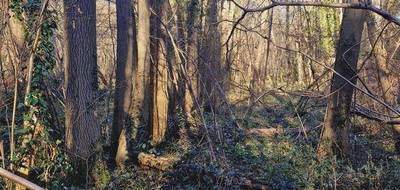 Terrain seul à Ronquerolles en Val-d'Oise (95) de 1886 m² à vendre au prix de 9400€ - 4