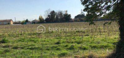 Terrain seul à Meilhan-sur-Garonne en Lot-et-Garonne (47) de 13410 m² à vendre au prix de 216255€ - 4