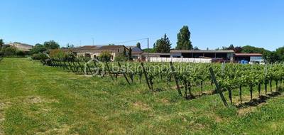 Terrain seul à Mazion en Gironde (33) de 237900 m² à vendre au prix de 211000€ - 2