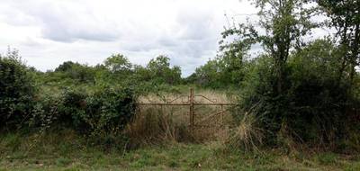 Terrain seul à Étréchy en Cher (18) de 7035 m² à vendre au prix de 33990€ - 2