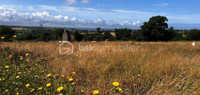Terrain seul à Plomodiern en Finistère (29) de 510 m² à vendre au prix de 60100€ - 3