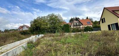 Terrain seul à Rosenwiller en Bas-Rhin (67) de 240 m² à vendre au prix de 148800€ - 4
