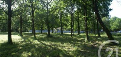 Terrain seul à Saint-Vivien-de-Médoc en Gironde (33) de 3960 m² à vendre au prix de 80000€ - 3
