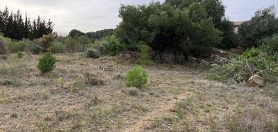 Terrain seul à Mailhac en Aude (11) de 1400 m² à vendre au prix de 128000€ - 4