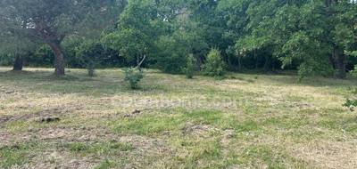 Terrain seul à Montaigut-sur-Save en Haute-Garonne (31) de 806 m² à vendre au prix de 130000€ - 3