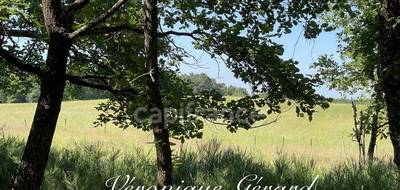 Terrain seul à Saint-Martin-de-Gurson en Dordogne (24) de 15651 m² à vendre au prix de 19000€ - 1