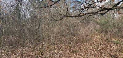 Terrain seul à Saint-Jean-de-Côle en Dordogne (24) de 6671 m² à vendre au prix de 36000€ - 3