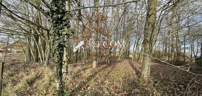Terrain seul à Vendhuile en Aisne (02) de 2611 m² à vendre au prix de 26000€ - 4