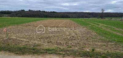 Terrain seul à Torfou en Essonne (91) de 1084 m² à vendre au prix de 125000€ - 4