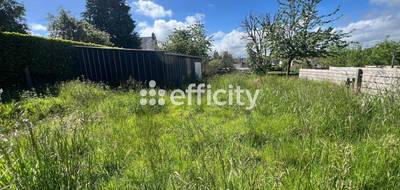 Terrain seul à Vire Normandie en Calvados (14) de 613 m² à vendre au prix de 44000€ - 2