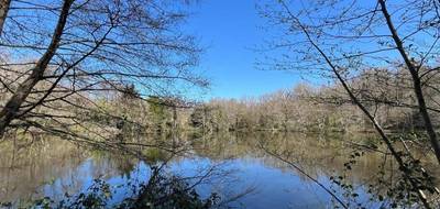 Terrain seul à Chamboret en Haute-Vienne (87) de 24268 m² à vendre au prix de 66000€ - 4