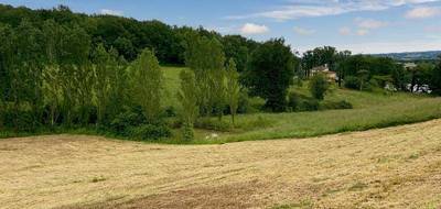 Terrain seul à Riscle en Gers (32) de 18000 m² à vendre au prix de 62000€ - 3