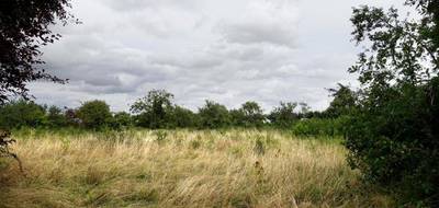 Terrain seul à Étréchy en Cher (18) de 7035 m² à vendre au prix de 33990€ - 4