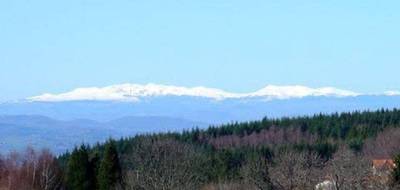 Terrain seul à Vollore-Montagne en Puy-de-Dôme (63) de 20270 m² à vendre au prix de 94000€ - 1