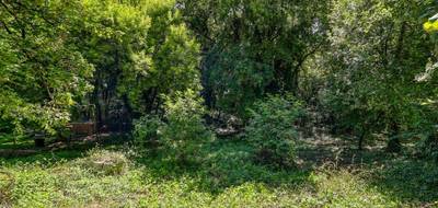Terrain seul à Vars en Charente (16) de 8860 m² à vendre au prix de 39000€ - 4