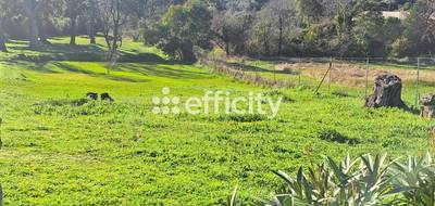 Terrain seul à Porto-Vecchio en Corse-du-Sud (2A) de 4023 m² à vendre au prix de 860000€ - 4