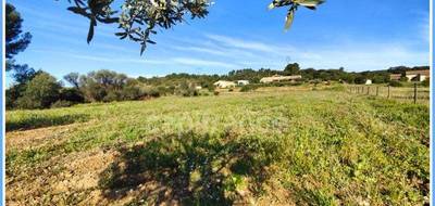 Terrain seul à Pézenas en Hérault (34) de 2673 m² à vendre au prix de 249500€ - 3