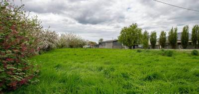 Terrain seul à Plancoët en Côtes-d'Armor (22) de 599 m² à vendre au prix de 66400€ - 4