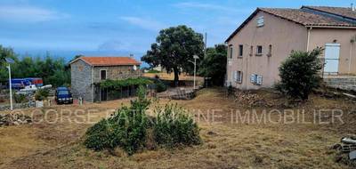 Terrain seul à Sari-Solenzara en Corse-du-Sud (2A) de 525 m² à vendre au prix de 90000€ - 3
