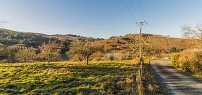 Terrain seul à Sainte-Fortunade en Corrèze (19) de 2000 m² à vendre au prix de 35000€ - 1