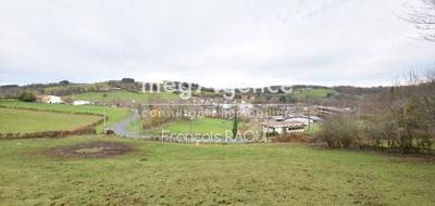 Terrain seul à Tulle en Corrèze (19) de 2685 m² à vendre au prix de 18000€ - 2
