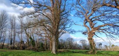 Terrain seul à Hinx en Landes (40) de 2825 m² à vendre au prix de 152500€ - 2