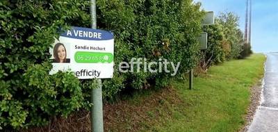 Terrain seul à Grivesnes en Somme (80) de 1059 m² à vendre au prix de 44900€ - 4
