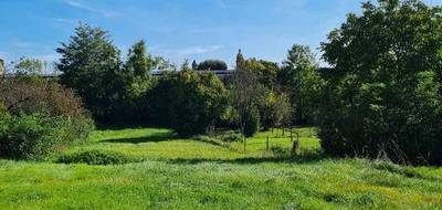 Terrain seul à Carignan en Ardennes (08) de 918 m² à vendre au prix de 35000€ - 2