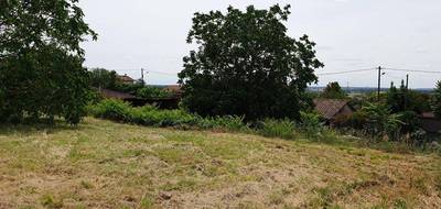 Terrain seul à Castelnau-d'Estrétefonds en Haute-Garonne (31) de 1700 m² à vendre au prix de 115990€ - 4