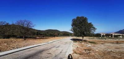 Terrain seul à Calenzana en Haute-Corse (2B) de 563 m² à vendre au prix de 146750€ - 1