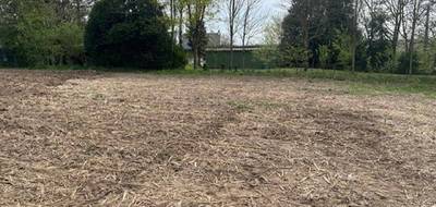 Terrain seul à Molac en Morbihan (56) de 1075 m² à vendre au prix de 66000€ - 3